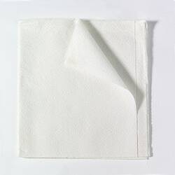 SHEET, DRAPE 2PLY ECON WHT 40X48 (100/CS)