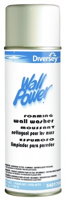 CLEANSER, WALL POWER FOAM 20OZ(12/CS)